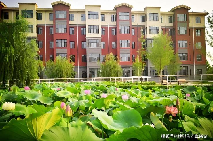 大兴寿山福海黄村院2025全面介绍：康复服务MK体育、收费标准与床位资源汇总(图1)