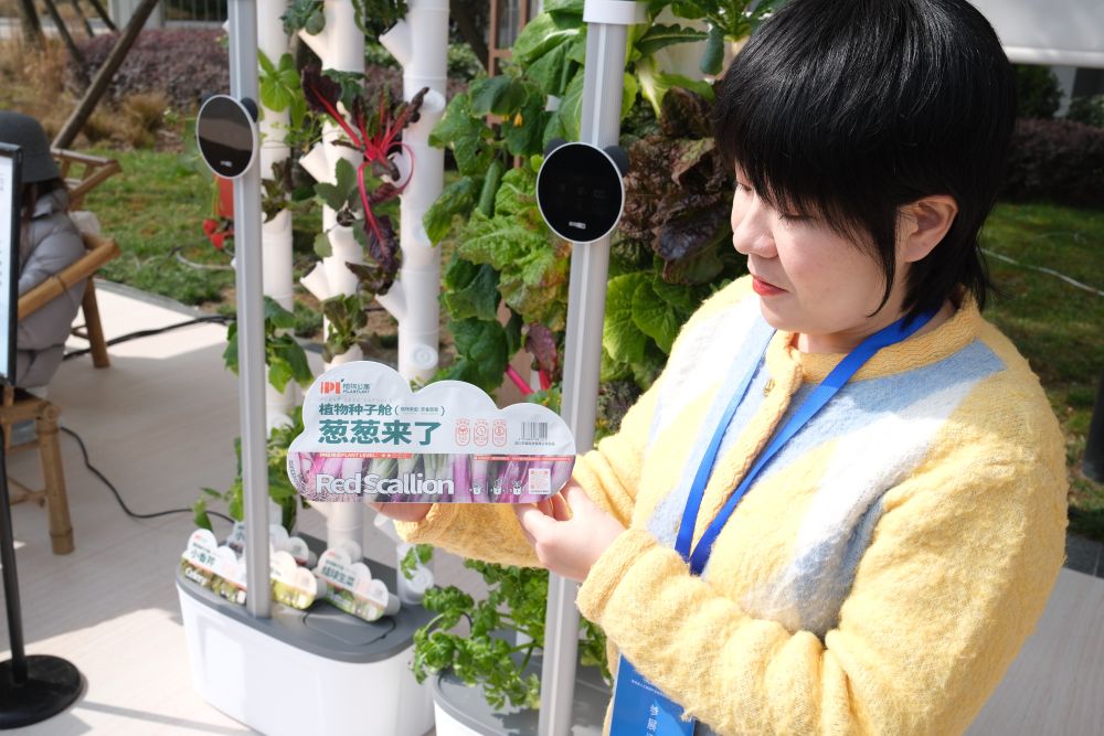 AI新MK体育浪潮来袭科技如何重塑巴蜀“安逸”生活？(图2)