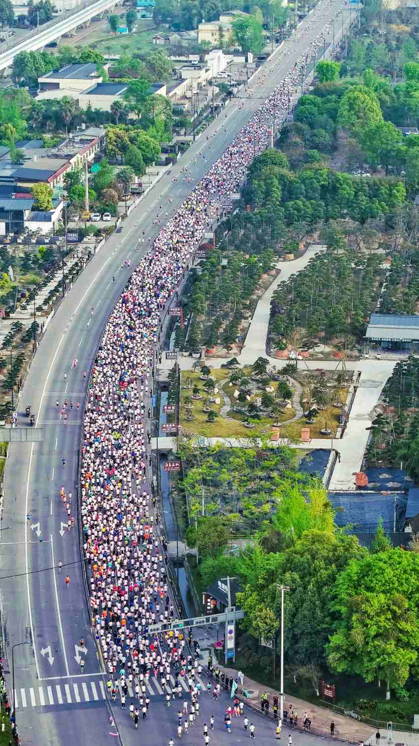 MK体育“大美田园·乐跑温江”2025温江半程马拉松开跑 万名跑者共赴春日之约