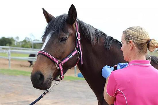 七旬老人投保中国人寿附赠的10年护理服务难兑现；保险公司：不知情业务员个MK体育人行为