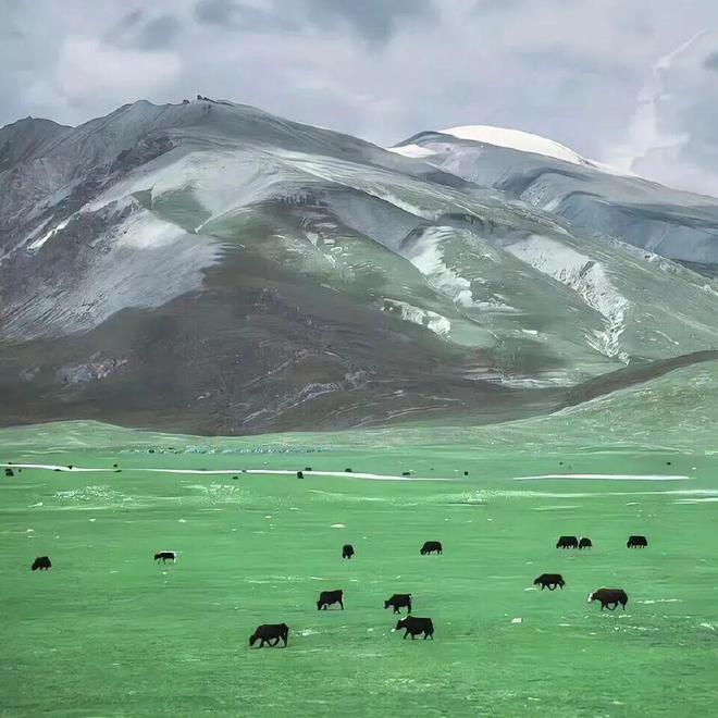 普高直升! 一地取消中考选拔｜呼和浩特一医院违规被查｜春节期间MK体育避免前往→(图9)
