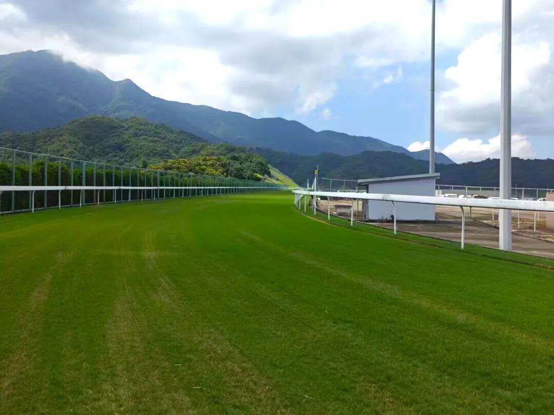 MK体育停摆近三十年广州赛马运动再开闸(图2)